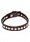 Ошейник X-PLAY RIVETED COLLAR 2080XP