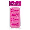 �������� ��� ���� Bachelorette Party Favors