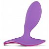���������� �������� ����������� SURFER PLUG VIBE � ����������� �� ���������
