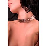 <strong>Ошейник</strong> <br />
Изготовлен из искусственной кожи. <div class="charTableblock"><div><span>Материал</span>: кожзам</div><div><span>Цвет</span>: другой</div></div> Ошейник
Изготовлен из искусственной кожи.