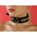 ������� �����, �������������� P217 
������� �����, �������������� ������� �����.