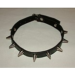 ������� ����� � ������ 1,5 �� P221 
������� �����, �������������� ������.