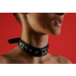 ������� �������� (�����) P286 
������� �������� (�����) ������� �����.