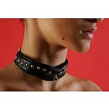 ������� �������������� P288 
������� ������� ����� ��������������, �����, �������� � �������, ������ ������.