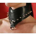 �������, �������������� ������ P293 
������� ������ �������, ���������� ��������� ������, � ������������� �������.