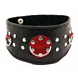 <strong>Ошейник кожаный с клепками 55006ars</strong> <br />
<div class="charTableblock"><div><span>Материал</span>: кожзам</div><div><span>Цвет</span>: черный</div></div> Ошейник кожаный с клепками 55006ars