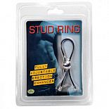 ׸     Stud Ring  
   . 