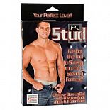   Mr. Stud 
    .  .