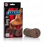 -  VIVID RAW BANG IT  
-  VIVID RAW BANG IT. 