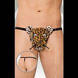 ������� �������-������ � ��������� 
������� � �������� ��������� ��������.