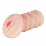        
-    ,         ,            .