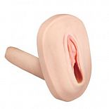 <strong>Мастурбатор-вагина с вибрацией и выносным пультом управления</strong> <br />
Мастурбатор-вагина с вибрацией и выносным пультом управления. <div class="charTableblock"><div><span>Материал</span>: TPE / TPR</div></div> Мастурбатор-вагина с вибрацией и выносным пультом управления
Мастурбатор-вагина с вибрацией и выносным пультом управления.