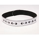 <strong>Ошейник кожаный белый шириной 20мм с аппликацией в виде сердечек 3108-3</strong> <br />
Изготовлен из натуральной кожи с велюровой подкладкой. <div class="charTableblock"><div><span>Материал</span>: кожа</div><div><span>Цвет</span>: белый</div></div> Ошейник кожаный белый шириной 20мм с аппликацией в виде сердечек 3108-3
Изготовлен из натуральной кожи с велюровой подкладкой.