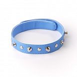 <strong>Ошейник голубой с меховой подкладкой,5034-5</strong> <br />
Изготовлен из искусственной кожи. <div class="charTableblock"><div><span>Материал</span>: кожзам</div><div><span>Цвет</span>: другой</div><div><span>Производитель</span>: Sitabella, Россия</div></div> Ошейник голубой с меховой подкладкой,5034-5
Изготовлен из искусственной кожи.