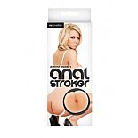  Ashlynn Brooke`s Anal  
 Ashlynn Brooke's Anal -   .