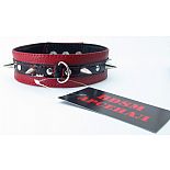 <strong>Узкий ошейник с шипами 55010ars</strong> <br />
<div class="charTableblock"><div><span>Материал</span>: кожа</div><div><span>Цвет</span>: красный, розовый</div></div> Узкий ошейник с шипами 55010ars