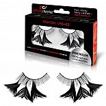 ��������� ������ ������� � ��������� Flirty Feathers 
������������ �������� ��������� ������� �� ��������� � ��� � ������������ ��������� ��������� � �������� ������ �����.