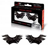 ��������� �������� ������� Exotic Dream 
��������� ������� ����������� ������� ����� �� ����������� �������� ������ ����� ������� �������� � ����� �������.