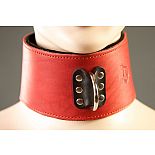 ������� ������� ������� �� ������ ��������� 
������� �������� �� ������� ����������� ���� �������� �������� � ������� D-�������, ������� ������������ �������� ��������� ��������� ��������� ������ (��������,�������,�����).