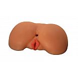   -      
    ,     ,   .