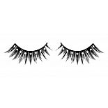 ׸���� ������� � ����������� �������� 
��������� ������ ������ ������� ������ ������ � ������ �����������.