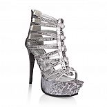 ��������� Silver Python 
������������ ����������� ��������� � ������� ��� ������.