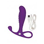   Embrace Tapered Probe  
