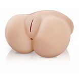    Lil Fuck Her 
   ?          ? , ,      ?    !  Lil  Fuck Her          .