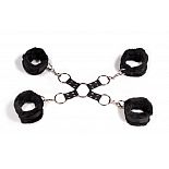 ����� ������-���������� � �������������� ������� 
������, ����� ��� ������� ��������� ������ ��, ��� ����������������� ���? ����� ����� ����� ��������� ���� ����� ����������! 2 ���� ������, ������� ����������� ����� �������, ����� ����������� ��������� ��������� ����� ������.