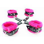       BDSM Light 
       ,    ,       .