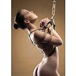 <strong>Комплект для бондажа Shibari Rope 10m Brown SH-OU045BRN</strong> <br />
"Веревка для бондажа . <div class="charTableblock"><div><span>Длина</span>: 7-11 м.</div><div><span>Цвет</span>: другой</div><div><span>Тип</span>: веревка</div></div> Комплект для бондажа Shibari Rope 10m Brown SH-OU045BRN
"Веревка для бондажа .