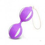 <strong>Вагинальные шарики фиолетово-белые 47072-MM</strong> <br />
<div class="charTableblock"> </div> Вагинальные шарики фиолетово-белые 47072-MM