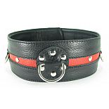  - XL 55023XLars 
