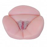 <strong>Вагина Пышечка </strong> <br />
Вагина пышечка – это замечательная секс-игрушка для любителей роскошных женских форм. <div class="charTableblock"> </div> Вагина Пышечка
Вагина пышечка – это замечательная секс-игрушка для любителей роскошных женских форм.