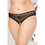 ��������� ������� � �������� ��������, ���������� �������� 
������� � ��������, ����������� �� ���������� �������, ����� � �������� ���� ����������� ��������.