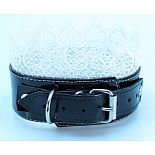     BDSM Light  810008ars 
