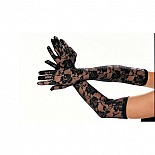 ��������� ������� �������� 
��������� ������� �������� � �������� � ���� �������.