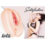  2  Satisfaction Daisy 
    ,    ,      .