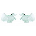 ������� ���������  ����� 
�������, �����, ������������ ������ ������� �� ������ ������������������ ������ ������ ��������� ���������� �����, �������������.