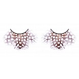 ������� ����-����������  ����� 
������������, �������� ������� �� ������ ������������������ ������ ������ ���������, ����������� � ���������� � ������� ������, ��������, � �������� � ��������.