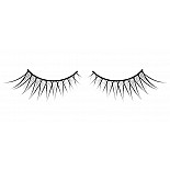 ������� ������ ��������� Premium 
����� �������� ������ ������� ������ ������ � ������������������ ���������� ����������, ����� ��������� � ����������� ����.