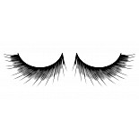 ������� ������ ��������� Deluxe 
����������� ���������� ������ ������� ������ ������ � ������� ��������� � ����� �������� ����������, ������������� �� �����.