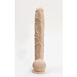   10" 
-       .