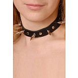 <strong>Ошейник с шипами черный</strong> <br />
Изготовлен из натуральной кожи с велюровой подкладкой. <div class="charTableblock"><div><span>Материал</span>: кожа</div><div><span>Цвет</span>: черный</div></div> Ошейник с шипами черный
Изготовлен из натуральной кожи с велюровой подкладкой.