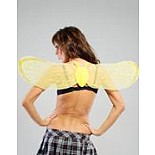    02444 SM 
<br>: <b>Le Frivole Costumes</b><br/>