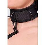 <strong>Ошейник черный</strong> <br />
Ошейник выполнен из современного материала – мягкого пенистого неопрена, ламинированного шелковистым спандексом (относится к классу Soft-bandage), прекрасный аксессуар для начинающих. <div class="charTableblock"><div><span>Материал</span>: текстиль</div><div><span>Цвет</span>: черный</div></div> Ошейник черный
Ошейник выполнен из современного материала – мягкого пенистого неопрена, ламинированного шелковистым спандексом (относится к классу Soft-bandage), прекрасный аксессуар для начинающих.