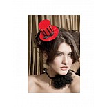 ����� ������� 
����� �������