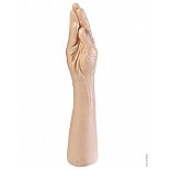    The Hand 
  .