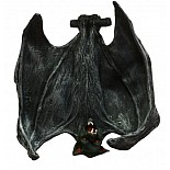 ������� ���� ������� 
������� ���� �������