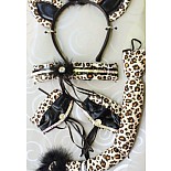 ����� ����� ������� ���� 
� ����� ������:
- ����
- �������
- �����
- �������